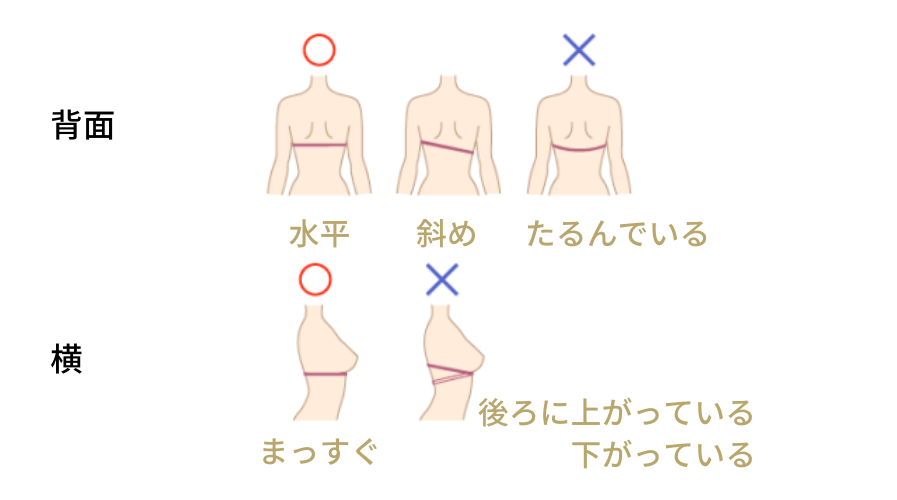 インナーのサイズは？サイズの見方と採寸方法 | ブライダルインナーを 